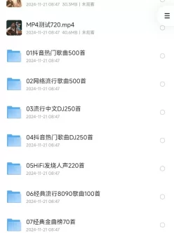 淘宝98元购买“柏林之声”2023车载U 盘，无损高音质Mp3格式