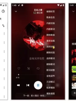 RPlayer 1.6.1.2 免费版 免费音乐播放器，支持联网下载歌词和封面